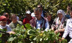 CHP Genel Başkanı Özgür Özel, Ordu'da konuştu: