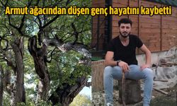 Armut ağacından düşen genç hayatını kaybetti