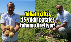 Tokatlı çiftçi, 15 yıldır patates tohumu üretiyor!