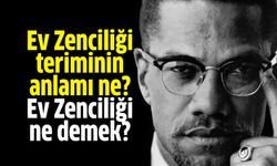 Ev Zenciliği teriminin anlamı ne? Ev Zenciliği ne demek?