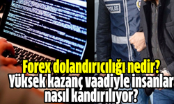 Forex dolandırıcılığı nedir?  Yüksek kazanç vaadiyle insanlar nasıl kandırılıyor?