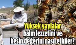 Yüksek yaylaların çiçek florası, balın lezzetini ve besin değerini nasıl etkiler?