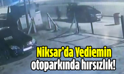 Niksar’da Yediemin otoparkında hırsızlık!