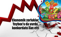 Ekonomik zorluklar, Toybox'u da vurdu, konkordato ilan etti