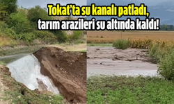 Tokat’ta su kanalı patladı, tarım arazileri su altında kaldı!