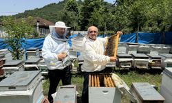 Salıpazarı kestane balını tatmak isteyenler siparişi hasat öncesinde veriyor