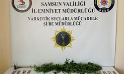 Samsun'da narkotik denetimlerinde 28 şüpheli yakalandı