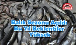 Balık Sezonu Açıldı! Bu Yıl Beklentiler Yüksek