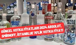 Güncel Votka Fiyatları 2024 Absolut, Smirnoff, İstanblue 70'lik Votka Fiyatı