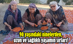 90 yaşındaki ninelerden, uzun ve sağlıklı yaşamın sırları!