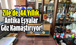 Tokat'ta antika meraklıları için  44 yıllık koleksiyonunu Zile'de satışa çıkardı!