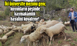 İki üniversite mezunu genç koyunların peşinde kaymakamlık hayalini kovalıyor!