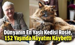 Dünyanın En Yaşlı Kedisi Rosie, 152 Yaşında Hayatını Kaybetti