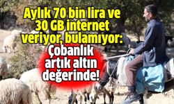 Aylık 70 bin lira ve 30 GB internet veriyor bulamıyor: Çobanlık artık altın değerinde!