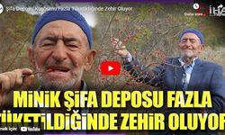 Şifa deposu kuşburnu fazla tüketildiğinde zehir oluyor!