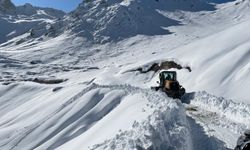 Artvin'de kar nedeniyle yaylada mahsur kalan 5 kişi kurtarıldı