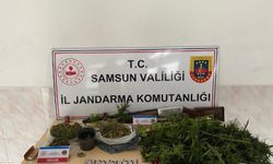 Jandarmadan uyuşturucu operasyonu: 2 gözaltı