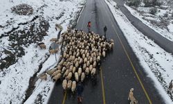 Ordu yaylalarında görsel kar şöleni