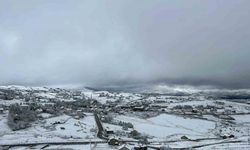 Ordu’ya mevsimin ilk karı düştü