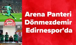 Arena Panteri Dönmezdemir, Edirnespor'da