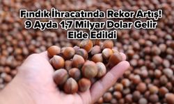 Fındık İhracatında Rekor Artış! 9 Ayda 1,7 Milyar Dolar Gelir Elde Edildi