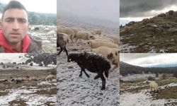 Tokatlı çoban, kar altında söylediği türküyle sosyal medyada ilgi odağı oldu!