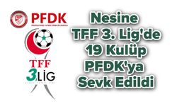 Nesine TFF 3. Lig'de 19 Kulüp PFDK'ya Sevk Edildi