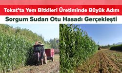 Tokat’ta Yem Bitkileri Üretiminde Büyük Adım! Sorgum Sudan Otu Hasadı Gerçekleşti