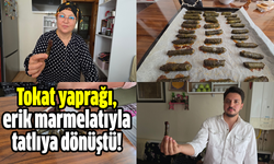 Tokat yaprağı, erik marmelatıyla tatlıya dönüştü!