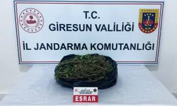 Giresun'da uyuşturucu operasyonunda bir kişi tutuklandı