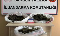 Samsun'da 627 gram kubar esrar ele geçirildi