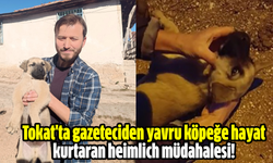 Tokat'ta gazeteciden yavru köpeğe hayat kurtaran heimlich müdahalesi!