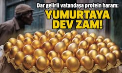 Dar gelirli vatandaşa protein haram: Yumurtaya dev zam!