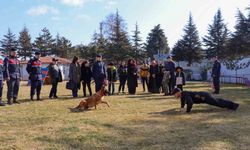 Jandarma, Yıldırım’ın hayalini gerçekleştirdi