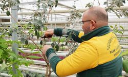 Keçiören Belediyesi’nden bilinçli tarımsal üretim için eğitim veriyor