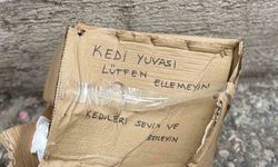 ‘Lütfen Ellemeyin’ notu da fayda etmedi: Kedi yuvası tahrip edildi