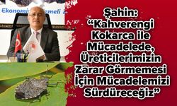 Şahin: “Kahverengi Kokarca ile Mücadelede, Üreticilerimizin Zarar Görmemesi İçin Mücadelemizi Sürdüreceğiz”