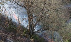 Rize’de anız yangını