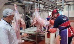 -Çorum Belediyesi hayırseverlerin kurban bağışlarını ihtiyaç sahibi ailelere ulaştıracak