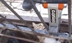 Mazgala sıkışan kediyi itfaiye kurtardı