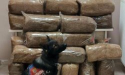 Yolcu otobüsünde kaçak tütün ele geçirildi