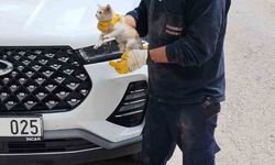 Cipin motor kısmına sıkışan yavru kediyi itfaiye kurtardı