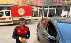 Otomobilin motor kısmına giren yavru kediyi itfaiye kurtardı