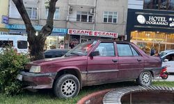 Park halindeyken haraket eden otomobil ağaraca çarparak durabildi