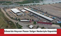 Erbaa'da Hayvan Pazarı Salgın Nedeniyle Kapatıldı
