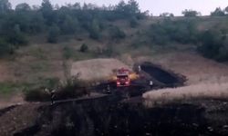 Alevler tarlayı sardı, ekipler eve sıçramasını önledi