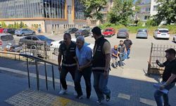 Müzede 2,7 milyonluk "vurgun" iddiasında müdür serbest, mutemet tutuklandı