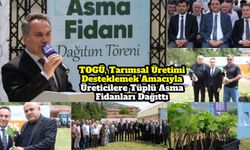 TOGÜ, Tarımsal Üretimi Desteklemek Amacıyla Üreticilere Tüplü Asma Fidanları Dağıttı