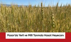 Pazar'da Yerli ve Milli Tarımda Hasat Heyecanı