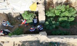 Aksaray’da dron destekli uyuşturucu operasyonu: 1 tutuklama